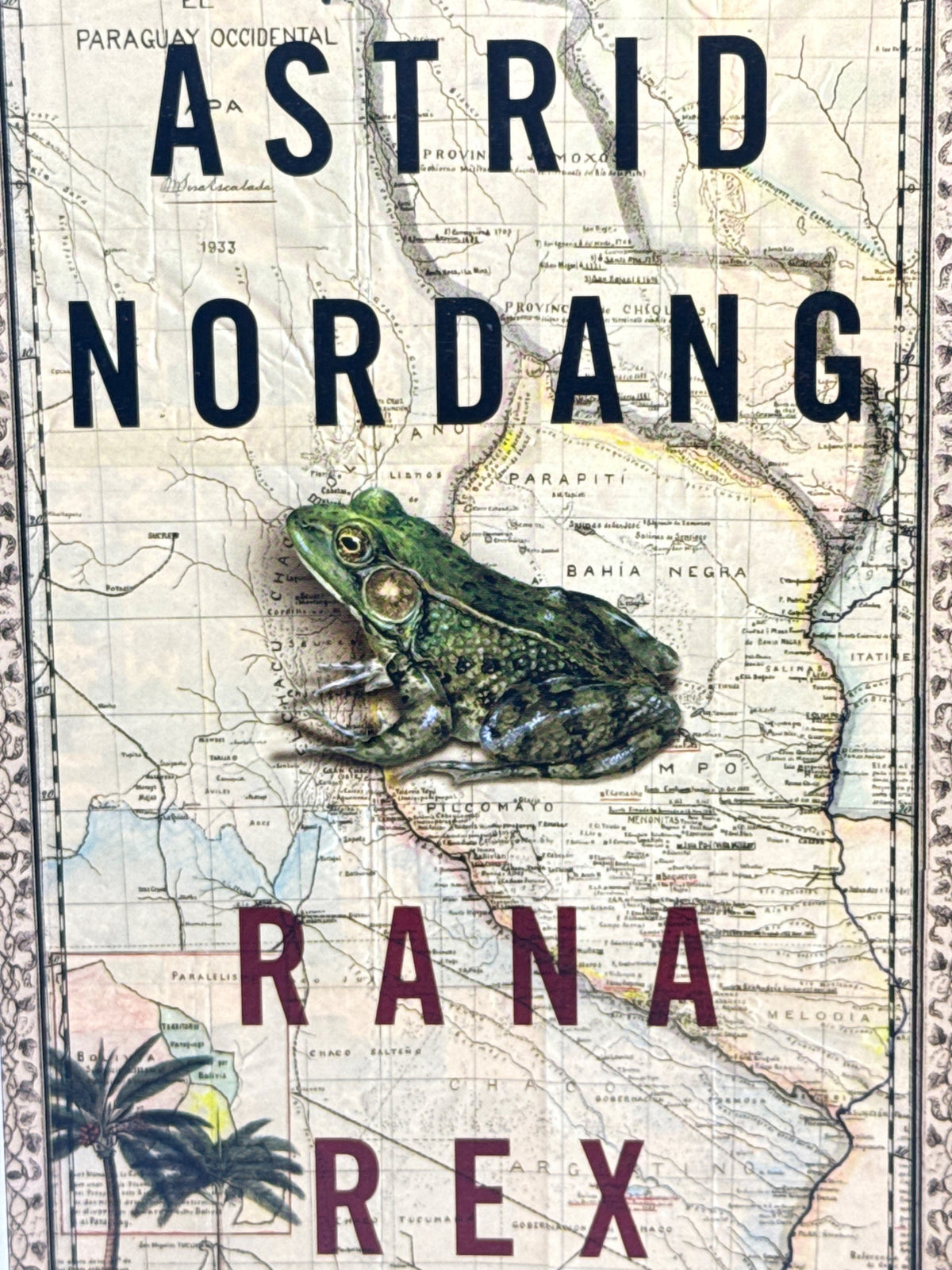 Forside av Rana Rex av Astrid Nordang 