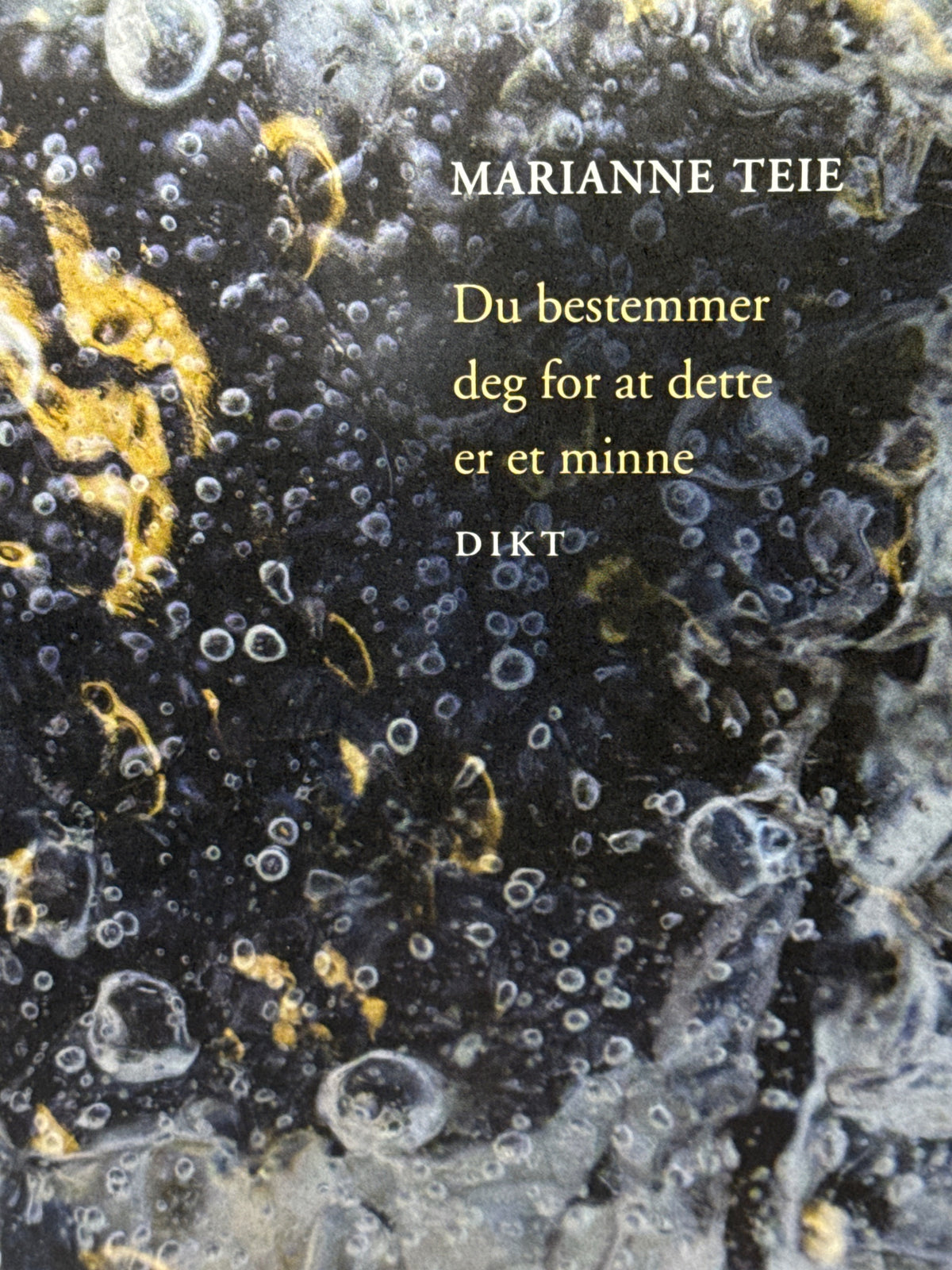 Forside av Du bestemmer deg for at dette er et minne av Marianne Teie 