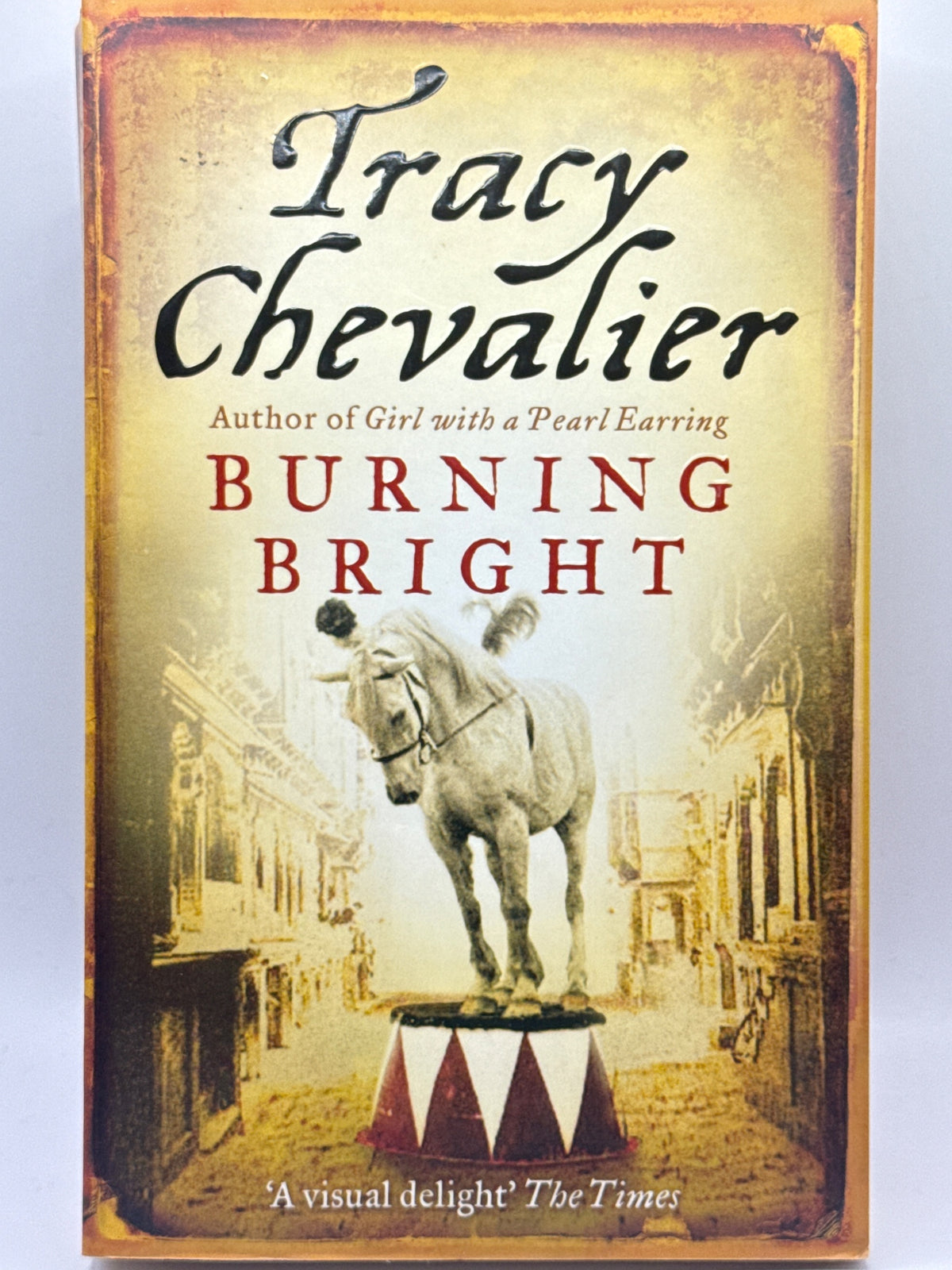 Forside av Burning Bright av Tracy Chevalier 