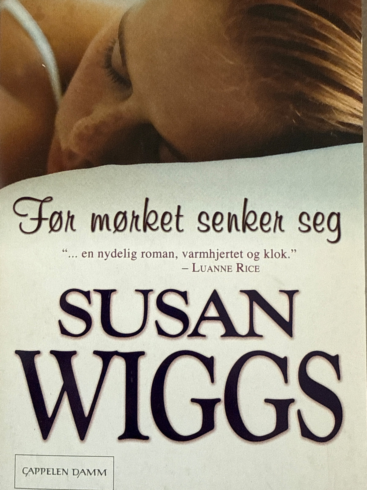 Forside av Før mørket senker seg av Susan Wiggs 