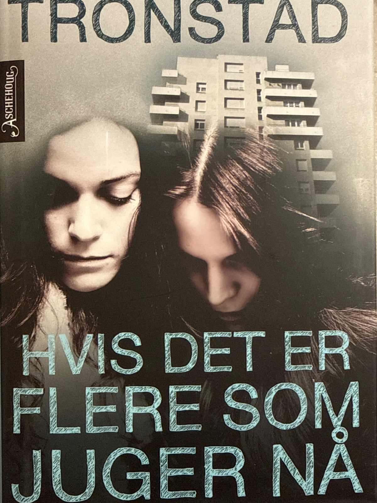 Forside av Hvis det er flere som juger nå av Tyra Teodora Tronstad 