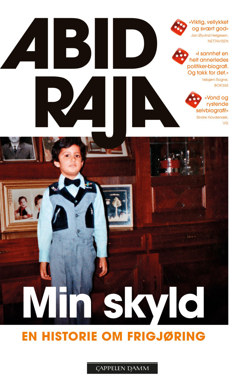 Min skyld - Innbundet