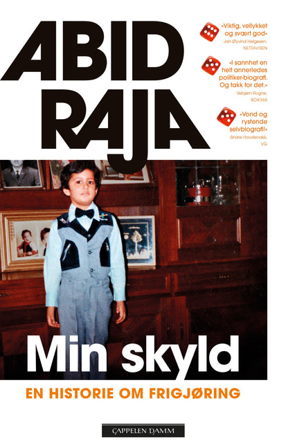Min skyld - Innbundet