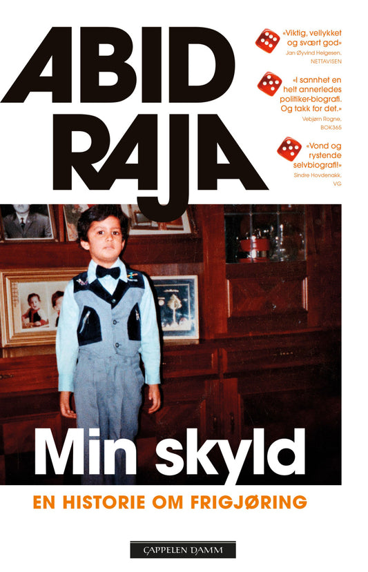 Min skyld - Innbundet